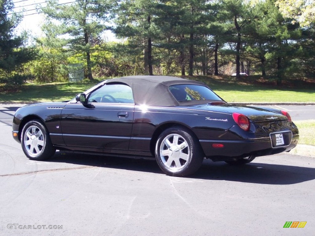 2003 Thunderbird Premium Roadster - Evening Black / Black Ink photo #7