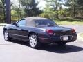 2003 Evening Black Ford Thunderbird Premium Roadster  photo #8