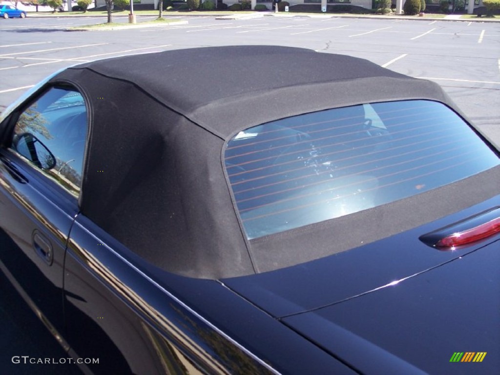 2003 Thunderbird Premium Roadster - Evening Black / Black Ink photo #22