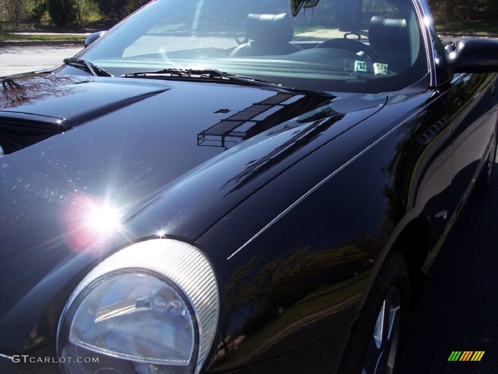 2003 Thunderbird Premium Roadster - Evening Black / Black Ink photo #36
