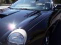 2003 Evening Black Ford Thunderbird Premium Roadster  photo #36