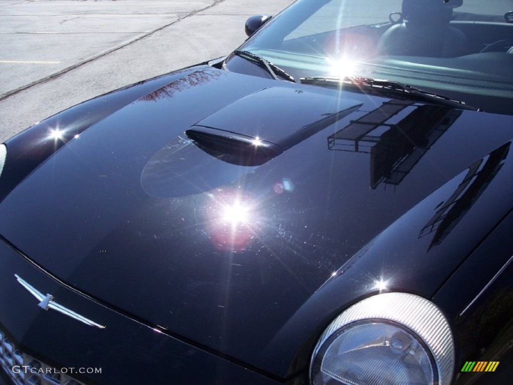 2003 Thunderbird Premium Roadster - Evening Black / Black Ink photo #37