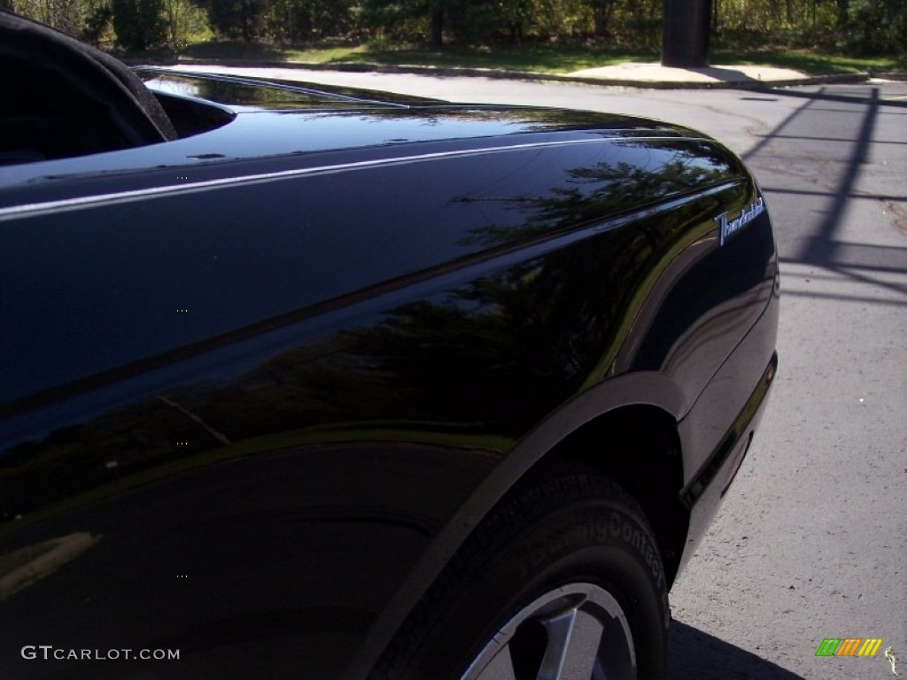 2003 Thunderbird Premium Roadster - Evening Black / Black Ink photo #42