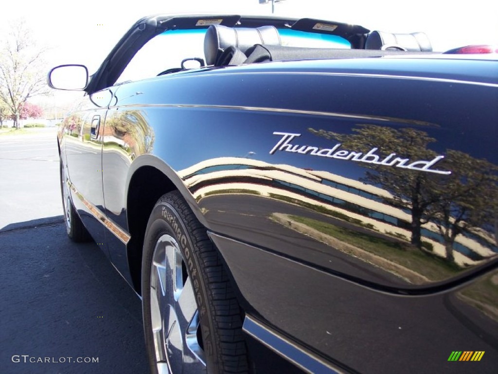 2003 Thunderbird Premium Roadster - Evening Black / Black Ink photo #47