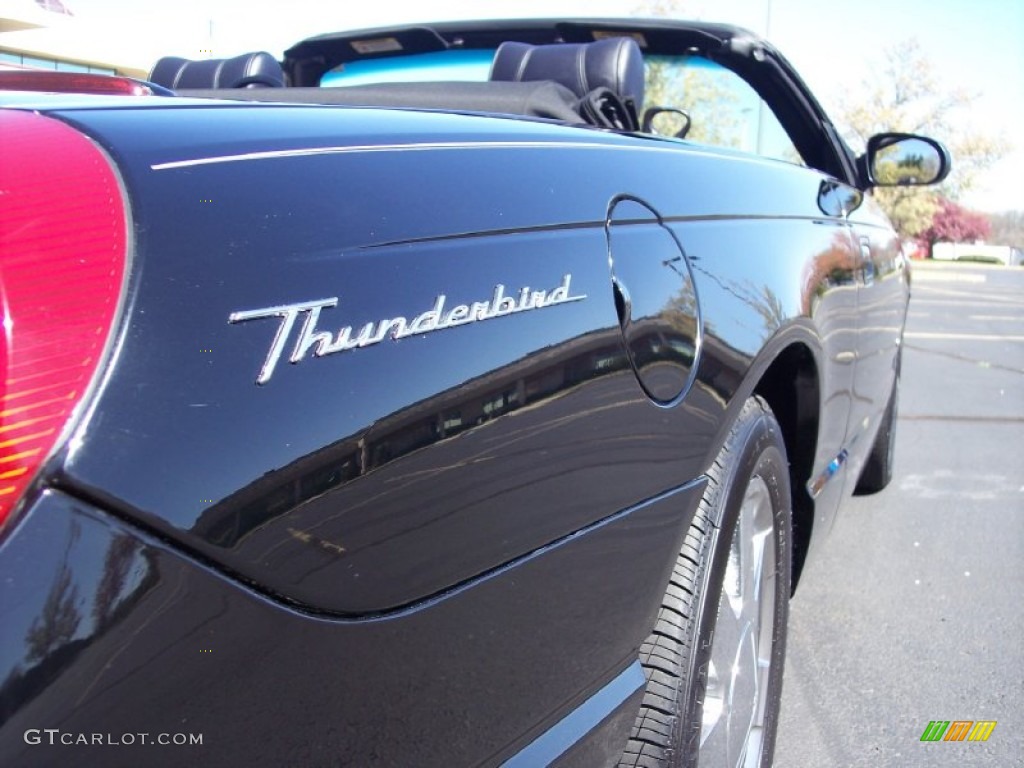 2003 Thunderbird Premium Roadster - Evening Black / Black Ink photo #48