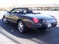 2003 Evening Black Ford Thunderbird Premium Roadster  photo #83