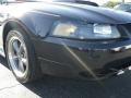 Black - Mustang GT Coupe Photo No. 3