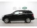 Black - ML 350 4Matic Photo No. 2