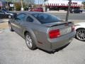 2009 Vapor Silver Metallic Ford Mustang GT/CS California Special Coupe  photo #8