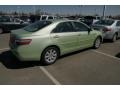 Jasper Pearl - Camry Hybrid Photo No. 2