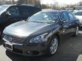 Ocean Gray - Maxima 3.5 SV Photo No. 1