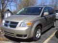 2009 Light Sandstone Metallic Dodge Grand Caravan SXT  photo #1