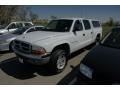 2002 Bright White Dodge Dakota SLT Quad Cab 4x4  photo #4