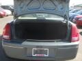 Magnesium Pearlcoat - 300 Touring Photo No. 6