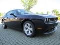 Blackberry Pearl - Challenger SXT Photo No. 4