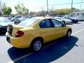 2002 Solar Yellow Dodge Neon SXT  photo #6