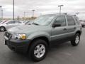 Titanium Green Metallic - Escape XLT Photo No. 3