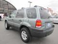 Titanium Green Metallic - Escape XLT Photo No. 5