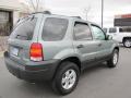 Titanium Green Metallic - Escape XLT Photo No. 7