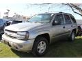Light Pewter Metallic - TrailBlazer LS 4x4 Photo No. 1