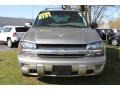 Light Pewter Metallic - TrailBlazer LS 4x4 Photo No. 17