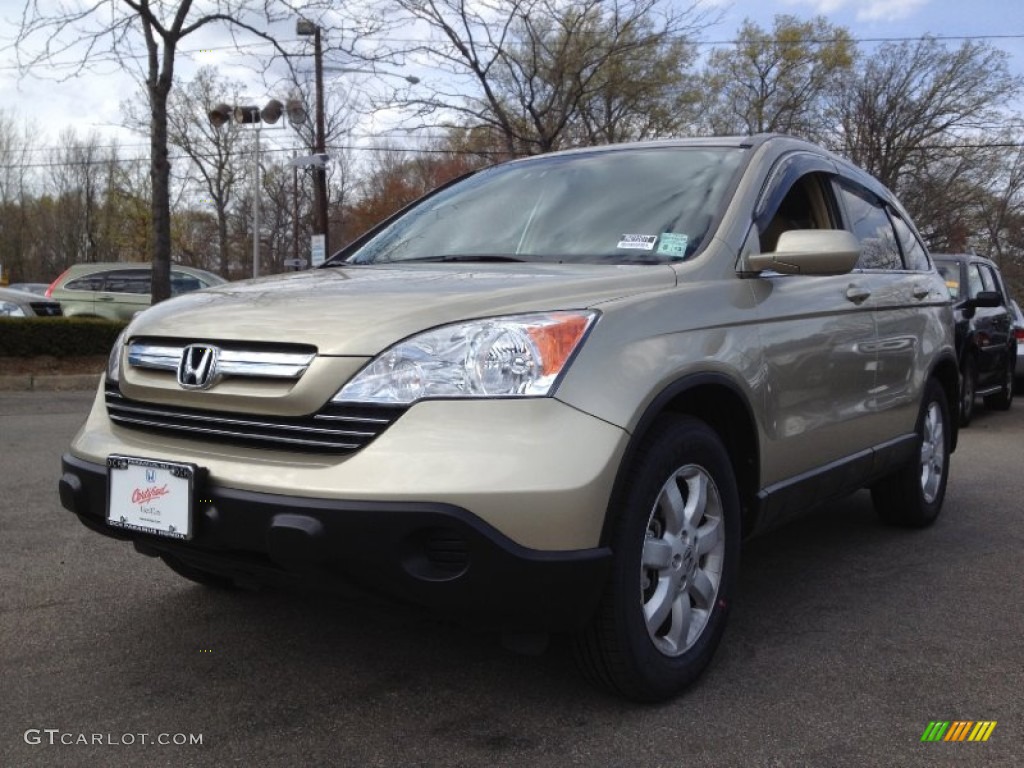 2009 CR-V EX-L 4WD - Borrego Beige Metallic / Ivory photo #5