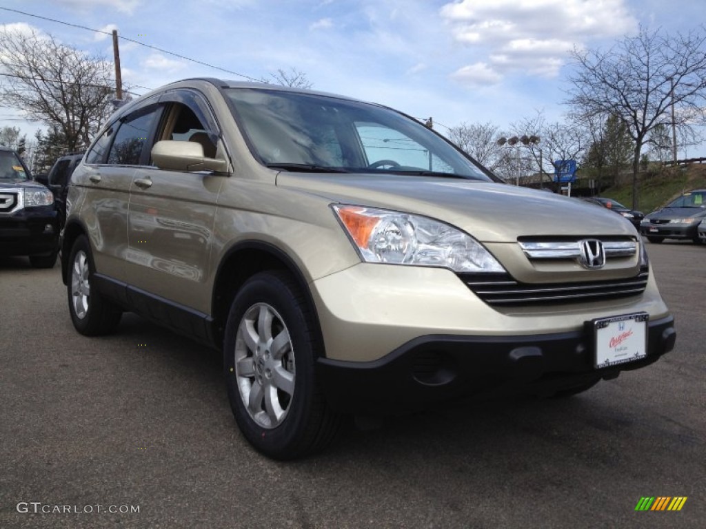 2009 CR-V EX-L 4WD - Borrego Beige Metallic / Ivory photo #7