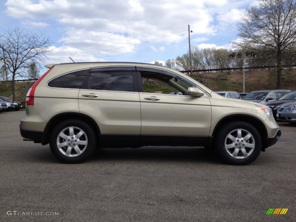 2009 CR-V EX-L 4WD - Borrego Beige Metallic / Ivory photo #8