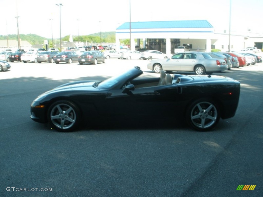 2005 Corvette Convertible - Black / Cashmere photo #10