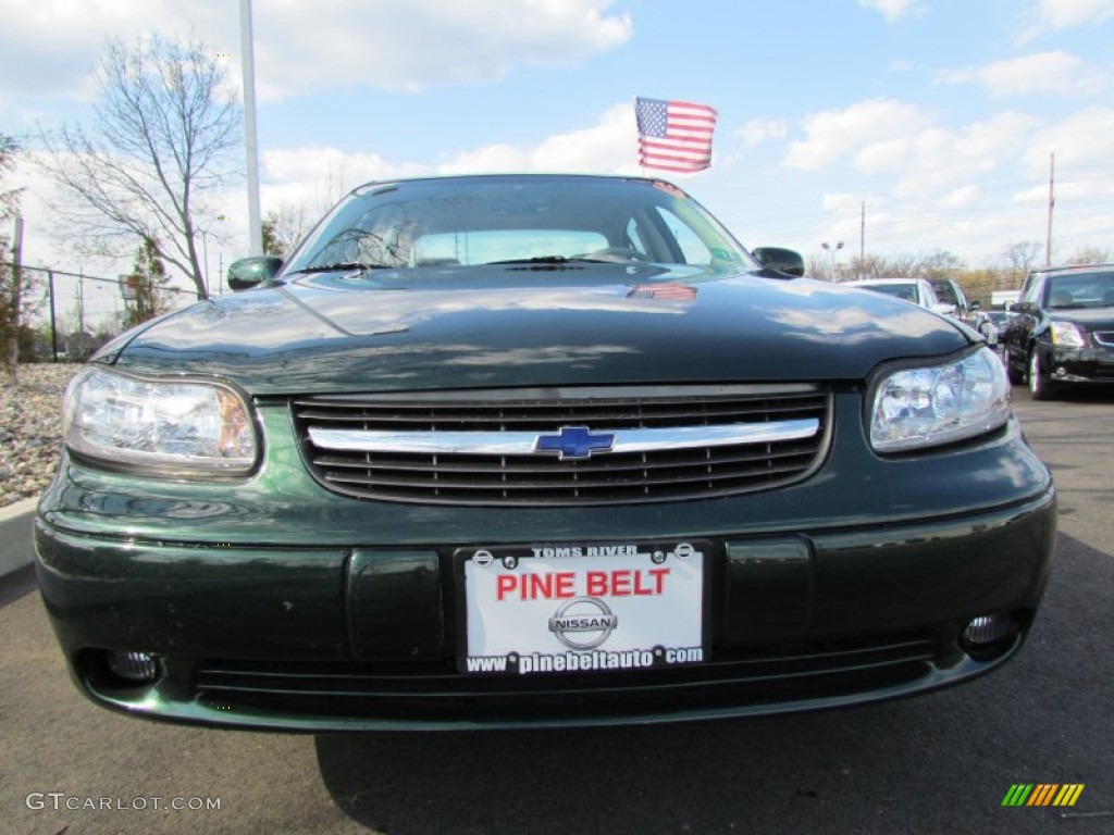 2002 Malibu LS Sedan - Forest Green Metallic / Gray photo #2