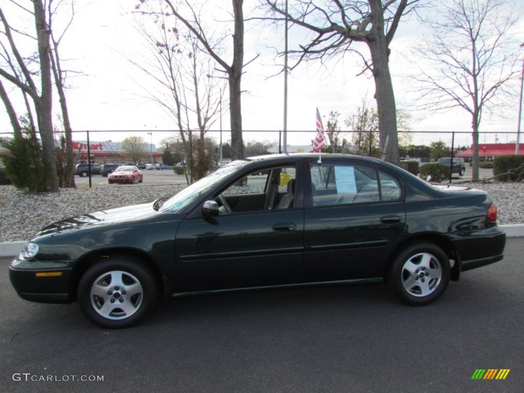 2002 Malibu LS Sedan - Forest Green Metallic / Gray photo #4