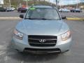 Platinum Sage - Santa Fe GLS 4WD Photo No. 5