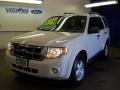 2009 White Suede Ford Escape XLT V6  photo #1