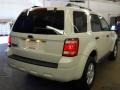 2009 White Suede Ford Escape XLT V6  photo #2