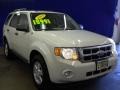 2009 White Suede Ford Escape XLT V6  photo #19