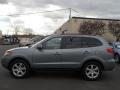 2008 Platinum Sage Hyundai Santa Fe SE 4WD  photo #12