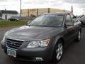 Willow Gray 2010 Hyundai Sonata SE V6