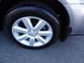 2009 Quartz Silver Metallic Subaru Outback 2.5i Special Edition Wagon  photo #28