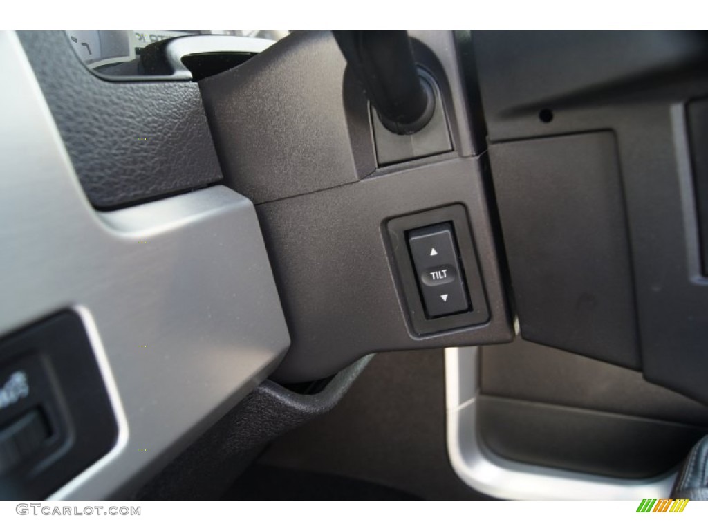 2010 F150 Platinum SuperCrew - Ingot Silver Metallic / Sienna Brown Leather/Black photo #25