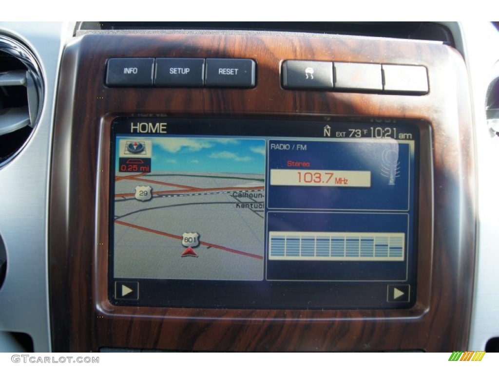 2010 F150 Platinum SuperCrew - Ingot Silver Metallic / Sienna Brown Leather/Black photo #30