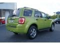 2012 Lime Squeeze Metallic Ford Escape XLT  photo #3