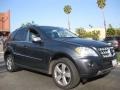 2010 Steel Grey Metallic Mercedes-Benz ML 350  photo #5