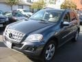 Steel Grey Metallic - ML 350 Photo No. 6