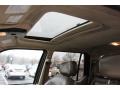 Estate Green Metallic - Explorer Sport Trac XLT 4x4 Photo No. 10