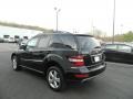 Black - ML 350 4Matic Photo No. 3