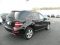Black - ML 350 4Matic Photo No. 5