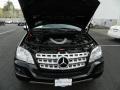 Black - ML 350 4Matic Photo No. 9