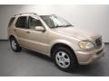 Desert Silver Metallic - ML 320 4Matic Photo No. 1