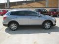 Liquid Silver Meatllic - CX-9 Touring Photo No. 6