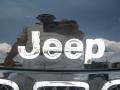 2012 Black Jeep Compass Sport  photo #23